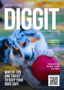 diggit magazine