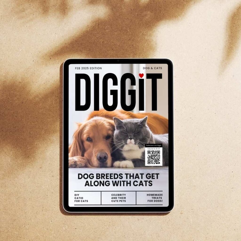 diggit magazine